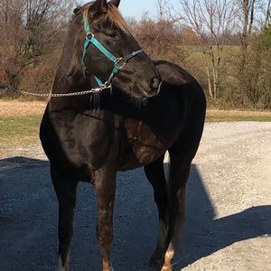 Meet your Posher, Barbara